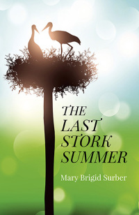 Titelbild: The Last Stork Summer 9781782799344