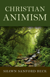 Cover image: Christian Animism 9781782799658