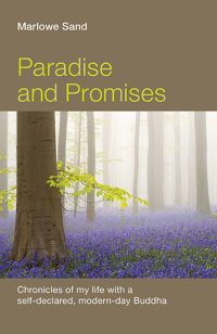 Cover image: Paradise and Promises 9781782799900