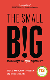 Cover image: The small BIG 9781781252758