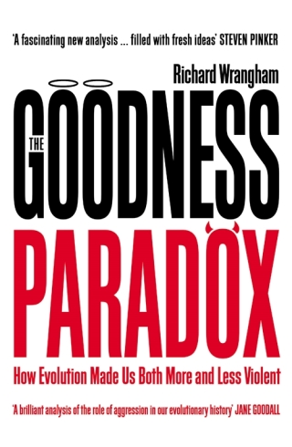 Imagen de portada: The Goodness Paradox 9781781255834