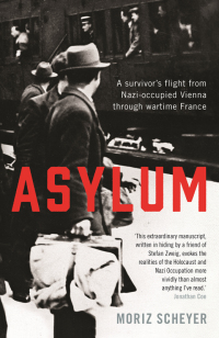 Cover image: Asylum 9781781256008