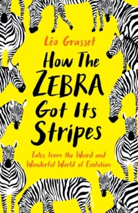 Omslagafbeelding: How the Zebra Got its Stripes 9781781256299