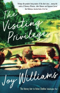 Cover image: The Visiting Privilege 9781781257470
