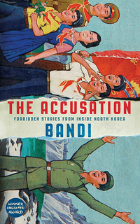 Cover image: The Accusation 9781781257548