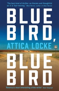 Cover image: Bluebird, Bluebird 9781781257678