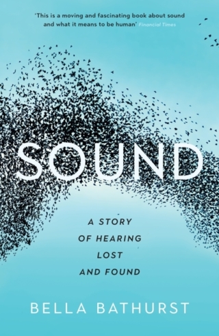 Cover image: Sound 9781781257760