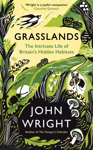 Titelbild: Grasslands 9781781258101