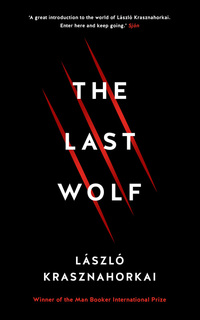 Cover image: The Last Wolf & Herman 9781781258132