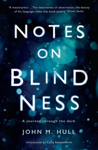 Cover image: Notes on Blindness 9781781258590