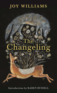 Cover image: The Changeling 9781788161343