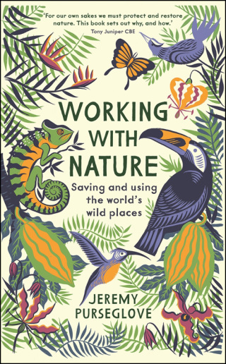 Cover image: Working with Nature 9781788161596