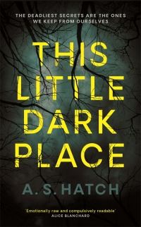 صورة الغلاف: This Little Dark Place 9781788162029