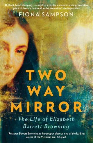Cover image: Two-Way Mirror 9781788162074