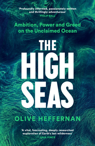 Cover image: The High Seas 9781788163576