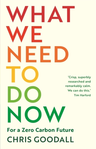 Cover image: What We Need to Do Now 9781788164719