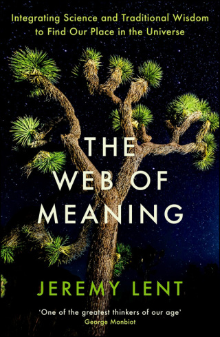 Omslagafbeelding: The Web of Meaning 9781788165648