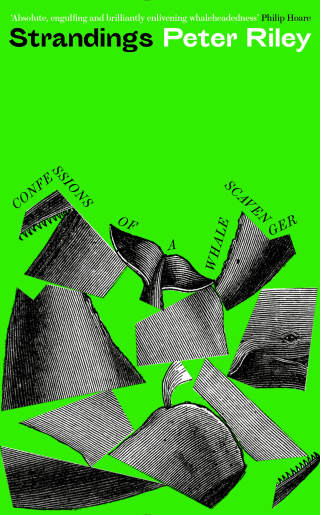 Imagen de portada: Strandings 9781788166072