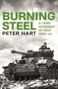 Cover image: Burning Steel 9781788166393