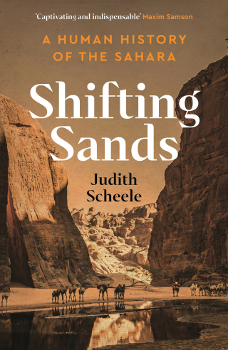 Cover image: Shifting Sands 9781788166454