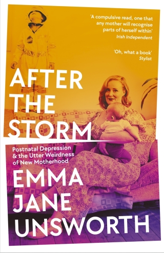 Cover image: After the Storm 9781788166546