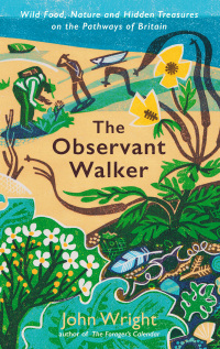 Cover image: The Observant Walker 9781788166874