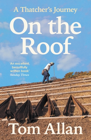 Cover image: On The Roof 9781788167437