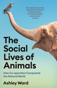 Imagen de portada: The Social Lives of Animals 9781788168847