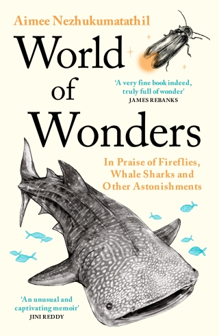 Cover image: World of Wonders 9781788168908