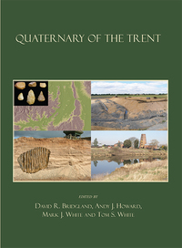 Imagen de portada: Quaternary of the Trent 9781842174616