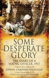 Cover image: Some Desperate Glory 9781848843011
