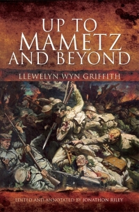 Immagine di copertina: Up to Mametz and Beyond 9781526700551