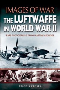 Cover image: The Luftwaffe in World War II 9781844150861
