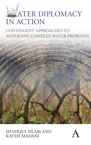 Cover image: Water Diplomacy in Action 1st edition 9781783084937