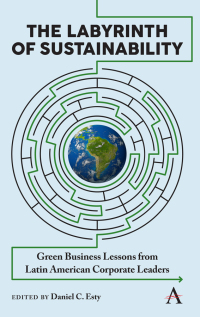 Cover image: The Labyrinth of Sustainability 1st edition 9781783089130