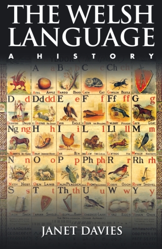 Cover image: The Welsh Language 1st edition 9781783161294