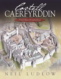 Titelbild: Castell Caerfyrddin 1st edition 9781783160464