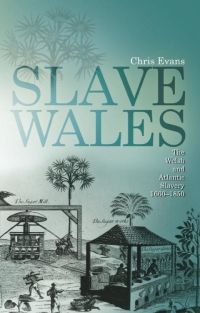 Cover image: Slave Wales 1st edition 9780708323045