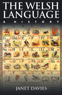 Immagine di copertina: The Welsh Language 1st edition 9781783160204