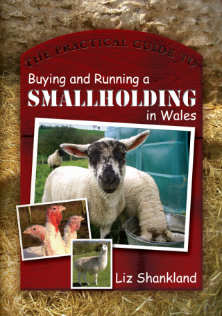 Imagen de portada: The Practical Guide to Buying and Running a Smallholding in Wales 1st edition 9781783162826