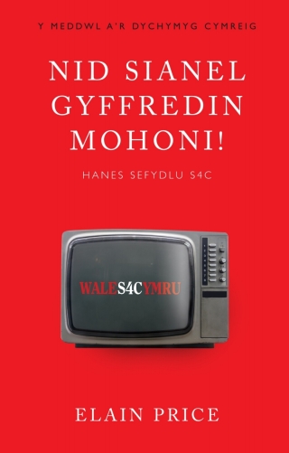 Cover image: Nid Sianel Gyffredin Mohoni! 1st edition 9781783168880