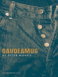 表紙画像: Gaudeamus 1st edition 9781840026672