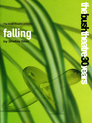 Cover image: Falling 1st edition 9781840023282