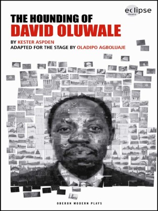 Immagine di copertina: The Hounding of David Oluwale 1st edition 9781840029024