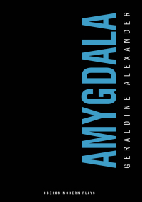 Cover image: Amygdala 1st edition 9781783191116