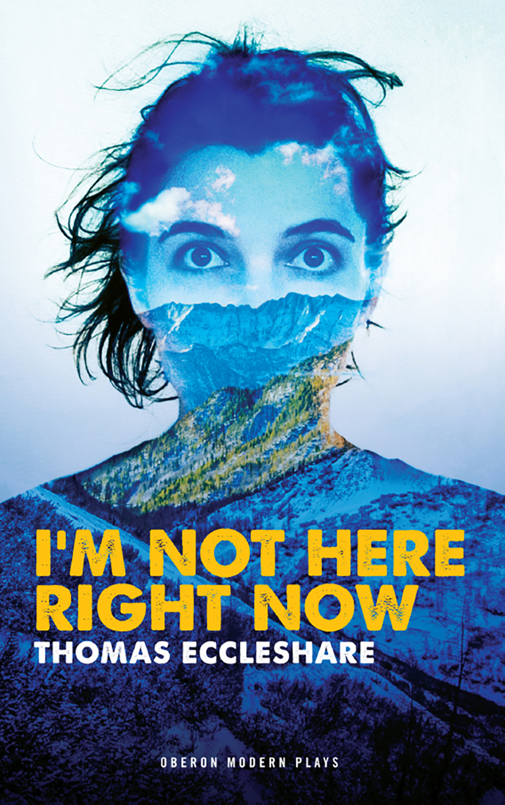 I’m Not Here Right Now 1st Edition