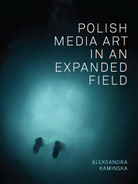 Titelbild: Polish Media Art in an Expanded Field 1st edition 9781783205400