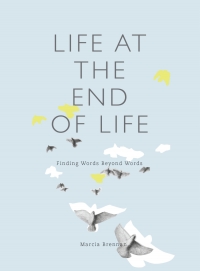 صورة الغلاف: Life at the End of Life 1st edition 9781783206971