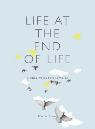 Imagen de portada: Life at the End of Life 1st edition 9781783206971
