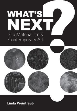 Omslagafbeelding: What's Next? 1st edition 9781783209408